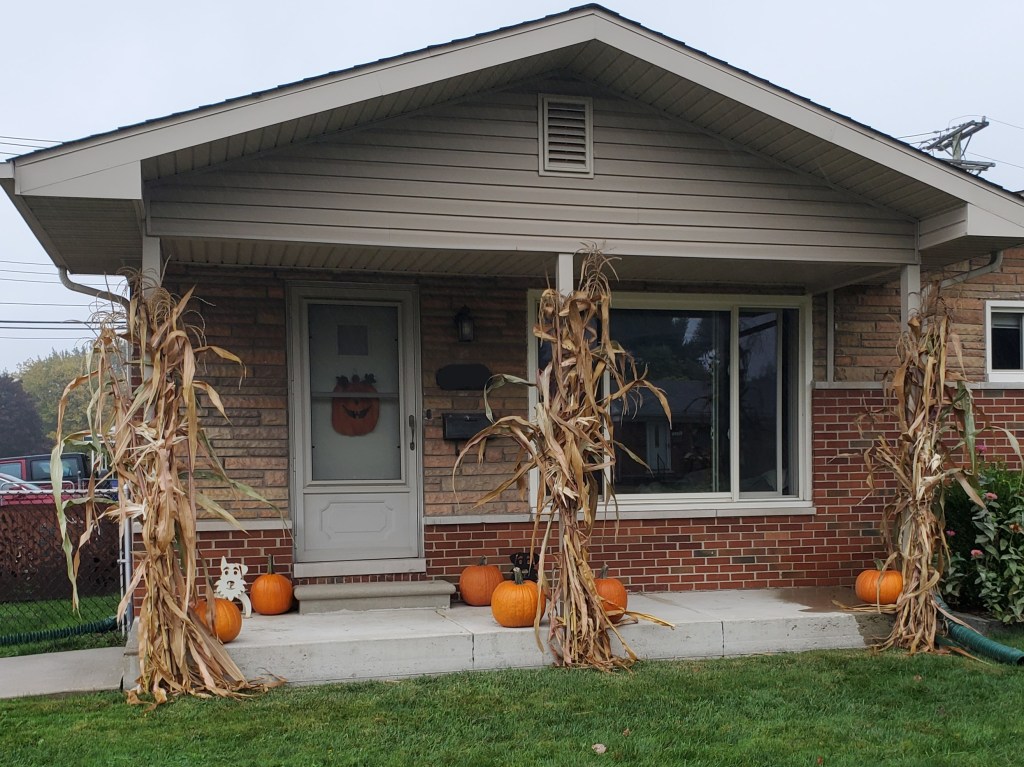 Fall decorations grown in our garden,
